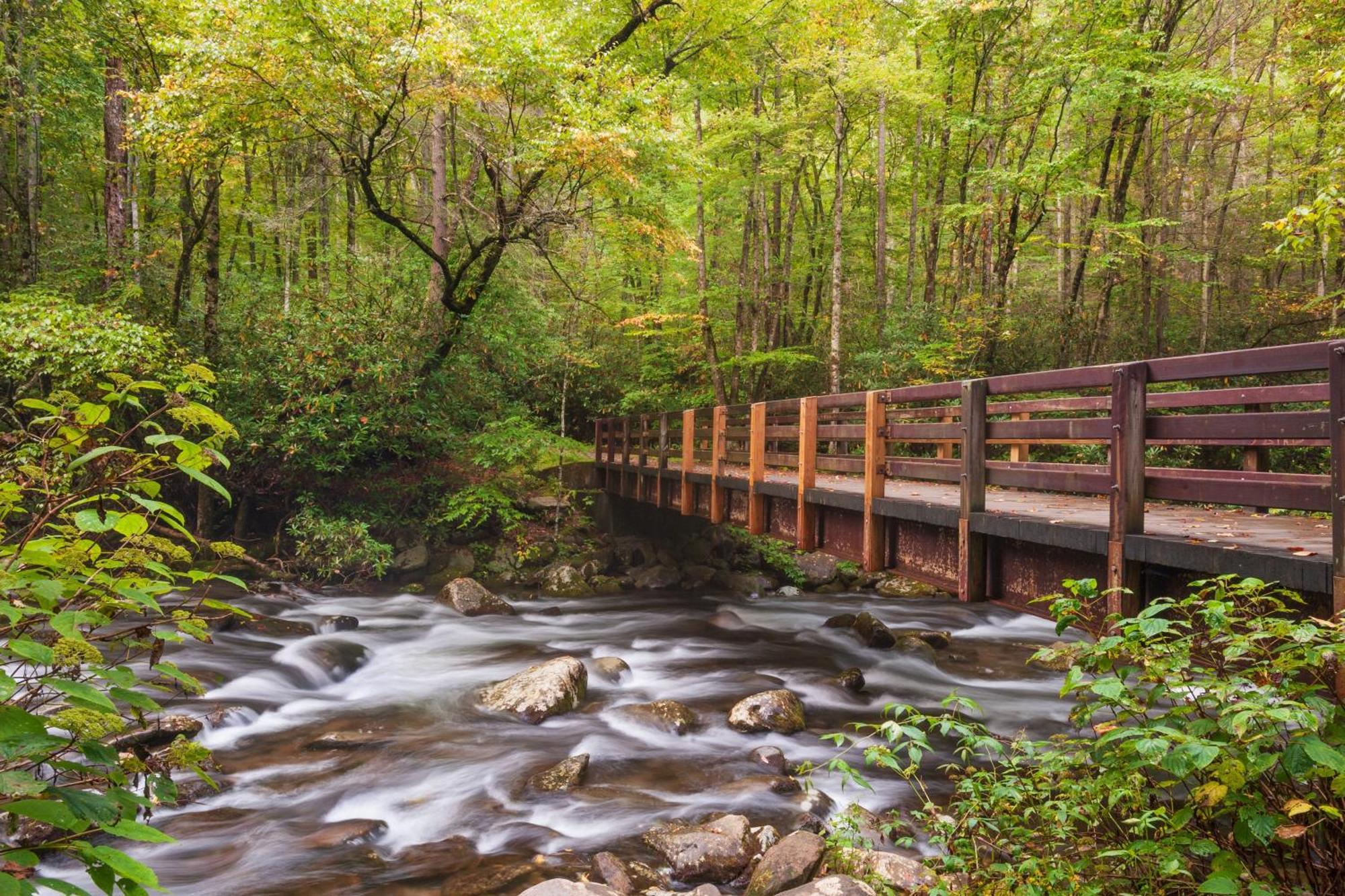Suite Sensations, Hot Tub, Pool Table, 1089 Free Tickets Each Paid Day, Dollywood And More Pigeon Forge Exteriér fotografie